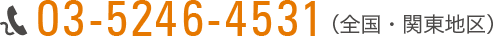 03-5246-4531 (全国・関東地区)